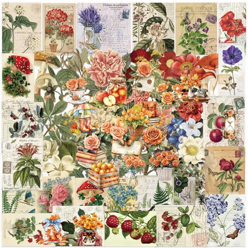 BSITSSS 100 Stück Scrapbook Aufkleber, Blumen Sticker Transparente, Vintage Flowers Pflanzen Sticker Aesthetic für Scrapbook Fotoalbum Sammelalbum Laptops Handwerk von BSITSSS