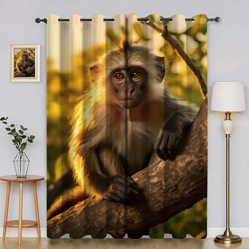 BSYYZQC AFFE Verdunkelungsvorhang, Vorhang Blickdicht Stamm Vorhänge mit Ösen, Gardinen Verdunklungsvorhänge für Wohnzimmer Schlafzimmer Kinderzimmer 2er Set 145x140cm (HxB) von BSYYZQC