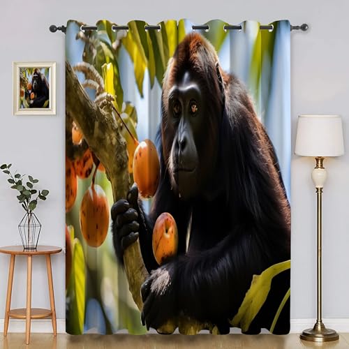 BSYYZQC Aprikose Verdunkelungsvorhang, Vorhang Blickdicht BrüLlaffe Vorhänge mit Ösen, Gardinen Verdunklungsvorhänge für Wohnzimmer Schlafzimmer Kinderzimmer 2er Set 145x140cm (HxB) von BSYYZQC