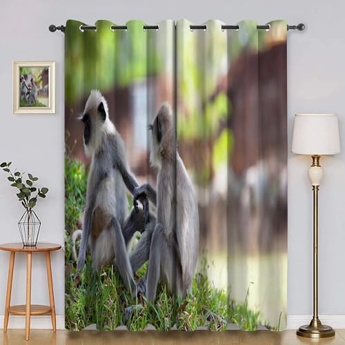 BSYYZQC Langur Gardinen, Verdunklungsvorhänge Gras Schallschutz Vorhang, Blickdicht Vorhänge mit Ösen, Vorhänge Wohnzimmer für Schlafzimmer Kinderzimmer 2er Set 175x140cm (HxB) von BSYYZQC