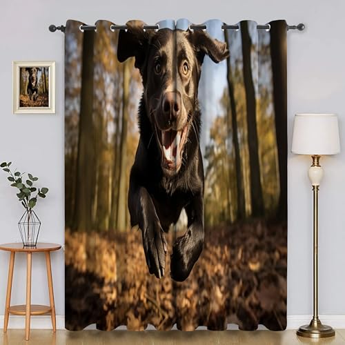 BSYYZQC Wald Gardinen, Verdunklungsvorhänge Labrador Schallschutz Vorhang, Blickdicht Vorhänge mit Ösen, Vorhänge Wohnzimmer für Schlafzimmer Kinderzimmer 2er Set 175x140cm (HxB) von BSYYZQC