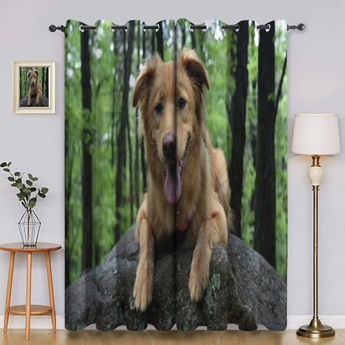 BSYYZQC Wald Verdunkelungsvorhang, Vorhang Blickdicht Golden Retriever Vorhänge mit Ösen, Gardinen Verdunklungsvorhänge für Wohnzimmer Schlafzimmer Kinderzimmer 2er Set 145x140cm (HxB) von BSYYZQC