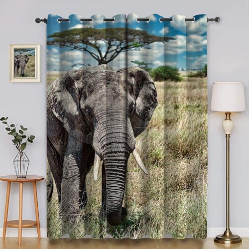 BSYYZQC Wiese Blackout Vorhang, Vorhänge Blickdicht Elefant Gardinen mit ösen, Gegen Kälte Super Weich Schallschutz Vorhang für Schlafzimmer 2er Set 220x140cm (HxB) von BSYYZQC
