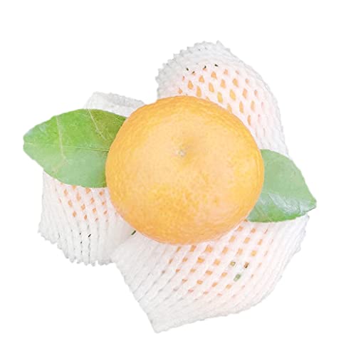 Schaumstoff-Netzhülle mit Tasche, 100-teiliges Obst-Schaumstoffnetz-Set – stoßfester Schutz for Erdbeeren und andere Früchte(30 * 10Cm) von BTYQKZVPM