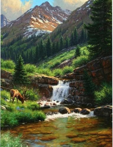 BUANJIAJU Kreuzstich-Stickset für Erwachsene und Anfänger, 11 CT, Bastelset, DIY-Druckmuster, Deko, Heimdekoration, Veranda (40 x 50 cm), Berglandschaft von BUANJIAJU
