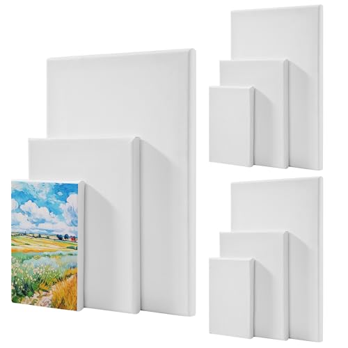 9 StückLeinwand Set, Leinwand zum Bemalen, Mini Leinwand, Keilrahmen für Bastler Künstler, geeignet Aquarell-, Öl- und Gouachemalerei（30x20cm,20x15cm,15x10cm） von BUCOMTU