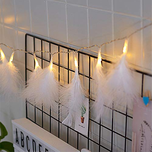 BULZEU 2M 20 Federn mit 20er Micro LED Lichterkette Kupfer Warmweiß mit Batterie Lichterkette für Party Garten Weihnachten Halloween Hochzeit Beleuchtung Deko (Weiß) von BULZEU
