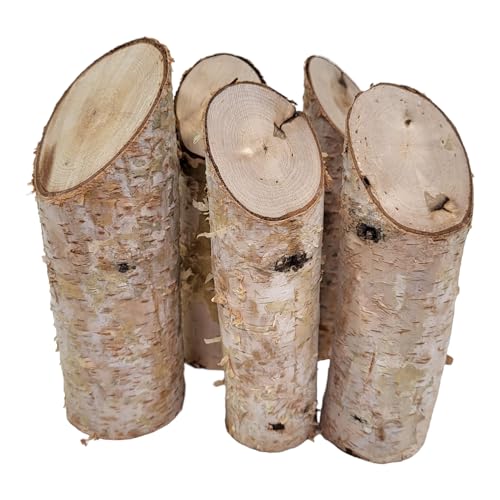 BUSDUGA 4404 Birkenstämmchen zum basteln und dekorieren, unbehandeltes Holz, Naturholz schräger Schnitt (10) von BUSDUGA