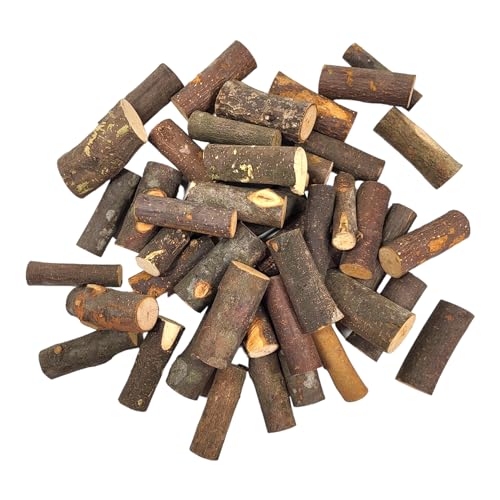 BUSDUGA 4406 Aststäbe zum basteln und dekorieren, unbehandeltes Holz, Naturholz (1kg) von BUSDUGA