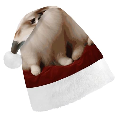 BVNMT Festliche Weihnachtsmütze für Erwachsene (43,4 x 29,7 cm) – Polyester-Freude für die Feiertage, kurzhaariger Zwergspitzhund, bedruckt, Weihnachtsmannmütze, Weihnachtsmütze, Partyhut für von BVNMT