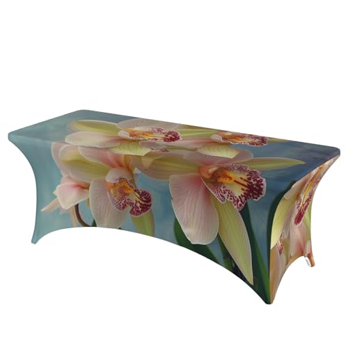BWWHCCTI Bedruckte Tischdecke mit Orchideen-Motiv, elastische Kanten, waschbare Tischdecke für Hochzeiten, Messen, Partys, Küche, Esszimmer und Bankette BWWHCCTI Bedruckte Tischdecke mit Orchideen-Motiv, elastische Kanten, waschbare Tischdecke für Hochzeiten, Messen, Partys, Küche, Esszimmer und Bankette von BWWHCCTI