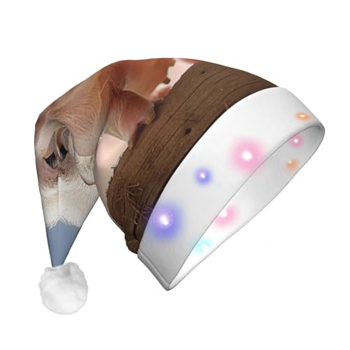 BWWHCCTI Lustige Weihnachtsmütze mit niedlichem Tierdruck, bedruckte LED-Weihnachtsmütze für Erwachsene, Männer und Frauen, lustiger Plüsch, beleuchtet, Weihnachtsmannmütze, Urlaubsparty-Hut BWWHCCTI Lustige Weihnachtsmütze mit niedlichem Tierdruck, bedruckte LED-Weihnachtsmütze für Erwachsene, Männer und Frauen, lustiger Plüsch, beleuchtet, Weihnachtsmannmütze, Urlaubsparty-Hut von BWWHCCTI