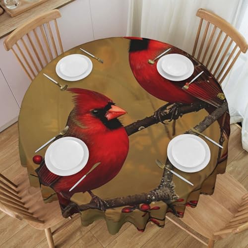 BWWHCCTI Rote Vögel bedruckte runde Tischdecke, 152,4 cm, waschbar, mit Spitze, Polyester, Tischdecke für Küche, Buffet, Urlaub, Party, Hochzeitsbankett BWWHCCTI Rote Vögel bedruckte runde Tischdecke, 152,4 cm, waschbar, mit Spitze, Polyester, Tischdecke für Küche, Buffet, Urlaub, Party, Hochzeitsbankett von BWWHCCTI