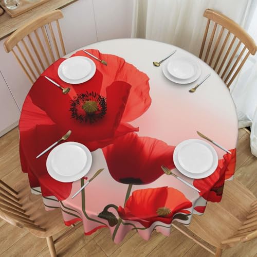 BWWHCCTI Runde Tischdecke mit Blumenmuster, bedruckt, 152,4 cm, waschbar, mit Spitze, Polyester, Tischdecke für Küche, Buffet, Urlaub, Party, Hochzeitsbankett BWWHCCTI Runde Tischdecke mit Blumenmuster, bedruckt, 152,4 cm, waschbar, mit Spitze, Polyester, Tischdecke für Küche, Buffet, Urlaub, Party, Hochzeitsbankett von BWWHCCTI