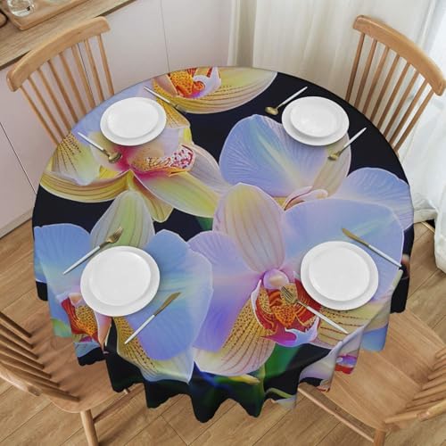 BWWHCCTI Runde Tischdecke mit Orchideen-Druck, 152,4 cm, waschbar, mit Spitze, Polyester-Tischdecke für Küche, Buffet, Urlaub, Party, Hochzeitsbankett BWWHCCTI Runde Tischdecke mit Orchideen-Druck, 152,4 cm, waschbar, mit Spitze, Polyester-Tischdecke für Küche, Buffet, Urlaub, Party, Hochzeitsbankett von BWWHCCTI