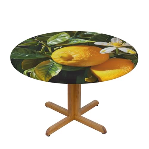 BWWHCCTI Tischdecke, rund, bedruckt, wasserdicht, elastisch, dekorativ, für Esstisch, Größe S BWWHCCTI Tischdecke, rund, bedruckt, wasserdicht, elastisch, dekorativ, für Esstisch, Größe S von BWWHCCTI