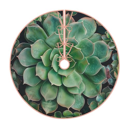 Grüner Sukkulenten-Weihnachtsbaumrock, 121,9 cm, Weihnachtsbaumschmuck mit Bändern und Kanten, für Weihnachten, Urlaub, Party-Dekoration Grüner Sukkulenten-Weihnachtsbaumrock, 121,9 cm, Weihnachtsbaumschmuck mit Bändern und Kanten, für Weihnachten, Urlaub, Party-Dekoration von BWWHCCTI