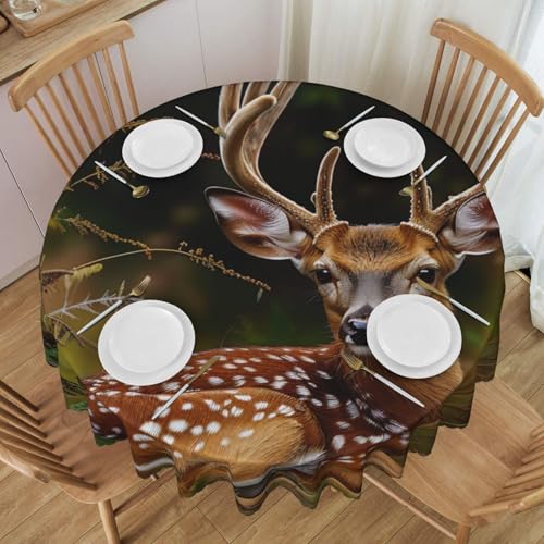 Weißschwanz-Rehkitz in der Wildnis, Hirsch, bedruckt, rund, 152,4 cm, waschbar, Esstisch, dekorative Tischdecke mit Spitze, Polyester, Tischdecke für Küche, Buffet, Urlaub, Party, Hochzeitsbankett Weißschwanz-Rehkitz in der Wildnis, Hirsch, bedruckt, rund, 152,4 cm, waschbar, Esstisch, dekorative Tischdecke mit Spitze, Polyester, Tischdecke für Küche, Buffet, Urlaub, Party, Hochzeitsbankett von BWWHCCTI