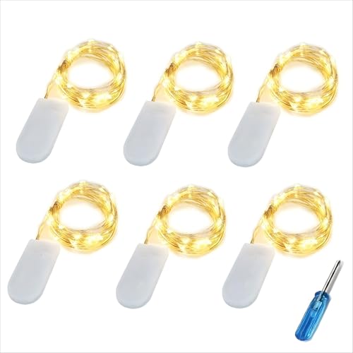BXROIU 20er Micro LED Lichterkette mit CR2032 Batterie betrieb Auf 2 Meter Silberdraht für Party, Garten, Weihnachten, Halloween, Hochzeit, Beleuchtung Deko (Warm weiß, 6 Stück) von BXROIU