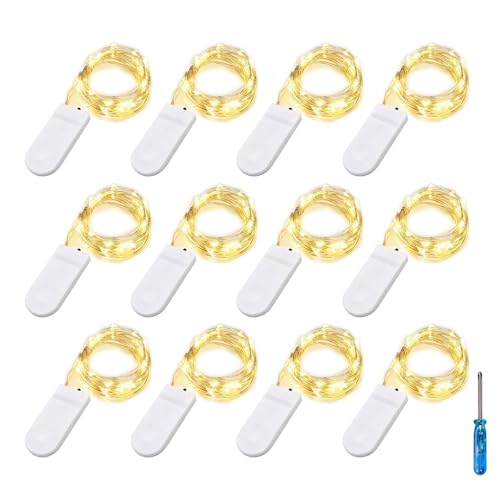 BXROIU 20er Micro LED Lichterkette mit CR2032 Batterie betrieb Auf 2 Meter Silberdraht für Party, Garten, Weihnachten, Halloween, Hochzeit, Beleuchtung Deko von BXROIU