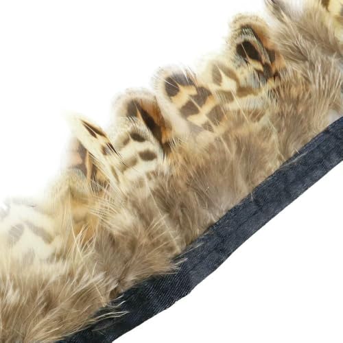 1 Meter natürliche Fasanenfedern, Besatz, Huhn, Pfauenfeder, Fransen für Kostüm, Kleidung, Nähen, Hochzeitszubehör 1 Meter natürliche Fasanenfedern, Besatz, Huhn, Pfauenfeder, Fransen für Kostüm, Kleidung, Nähen, Hochzeitszubehör von BXVXWKJXKR