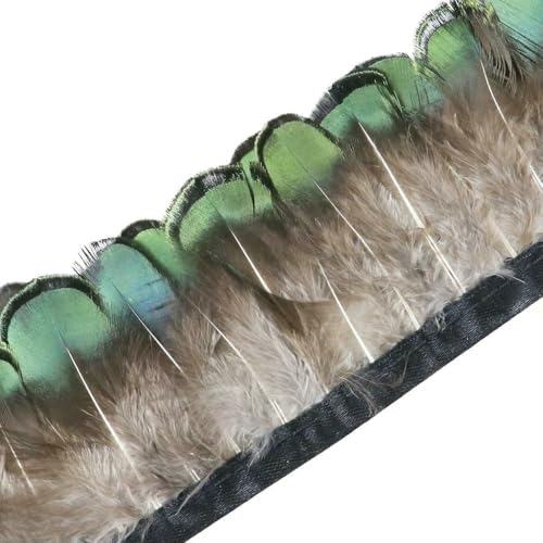 1 Meter natürliche Fasanenfedern, Besatz, Huhn, Pfauenfeder, Fransen für Kostüm, Kleidung, Nähen, Hochzeitszubehör 1 Meter natürliche Fasanenfedern, Besatz, Huhn, Pfauenfeder, Fransen für Kostüm, Kleidung, Nähen, Hochzeitszubehör von BXVXWKJXKR