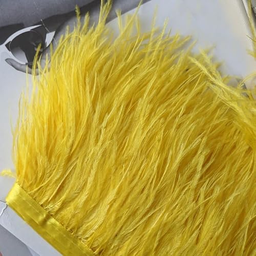 1 m Quaste Strauß Selvage Kleid Rock Zubehör Bühne Kostüm Dekoration Gelb 1 m Quaste Strauß Selvage Kleid Rock Zubehör Bühne Kostüm Dekoration Gelb von BXVXWKJXKR