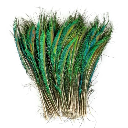 10/20/50 Stück natürliche Pfauenfedern, 25–30 cm, 30–35 cm, 40–45 cm, für Handwerk, Schmuckherstellung, Pflaume, Hochzeit, Zuhause, Hotel, Tafelaufsatz 10/20/50 Stück natürliche Pfauenfedern, 25–30 cm, 30–35 cm, 40–45 cm, für Handwerk, Schmuckherstellung, Pflaume, Hochzeit, Zuhause, Hotel, Tafelaufsatz von BXVXWKJXKR