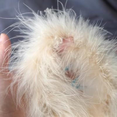 2M DIY Streifen Plüsch Dekoration Kleidung Rock Bühne Kopfschmuck verdickt lila von BXVXWKJXKR