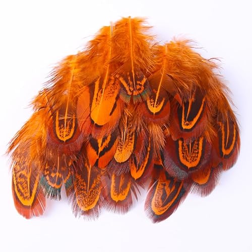 50 Stück DIY Schmuckzubehör Handgemachte kleine Federn Fasan Dekoration Bastelmaterial Orange 50 Stück DIY Schmuckzubehör Handgemachte kleine Federn Fasan Dekoration Bastelmaterial Orange von BXVXWKJXKR