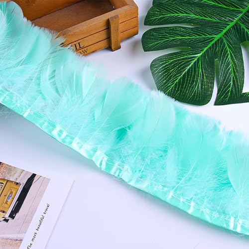 DIY Stoffstreifen Zubehör Lampen Kleidung Dekoration Federn 1 Stück 2 Meter Grau von BXVXWKJXKR