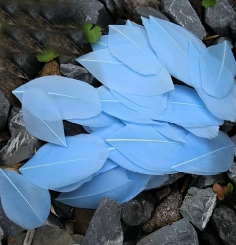 Gans zum Selbermachen, schwimmend, Schmuck, Zubehör, Dekoration, 50 Stück, goldgelb von BXVXWKJXKR