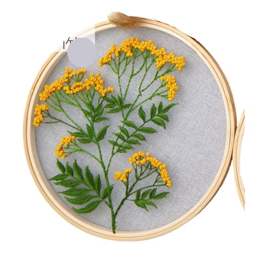 BYALORTEX Stickereiset für Anfänger, Stickset DIY Blumen Pflanzen Muster 18x18cm 20x20cm Stoff Multicolor(Color 11) von BYALORTEX