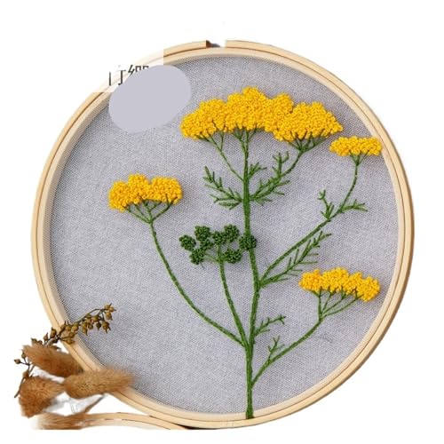 BYALORTEX Stickereiset für Anfänger, Stickset DIY Blumen Pflanzen Muster 18x18cm 20x20cm Stoff Multicolor(Color 15) von BYALORTEX