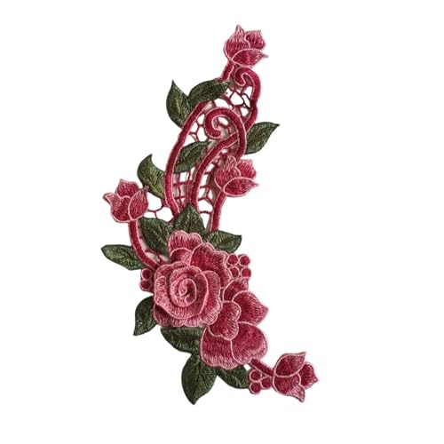 Blumen Zum AufbüGeln Mode Stil Stickerei Dreidimensionale Blumen Hohl Spitze Kragen Dekoration DIY Kleidung Nähzubehör Spitze Stoff(Style3(1pcs)) von BYLYUIVN