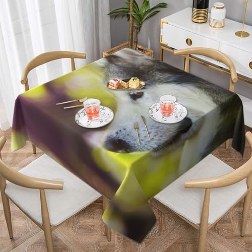 Alaskan Malamute Bokeh Haustiere Hunde CuteSquare Staubdichte Tischdecke wasserdichte Tischdecke 55x55Zoll Alaskan Malamute Bokeh Haustiere Hunde CuteSquare Staubdichte Tischdecke wasserdichte Tischdecke 55x55Zoll von BYwenhopnbs