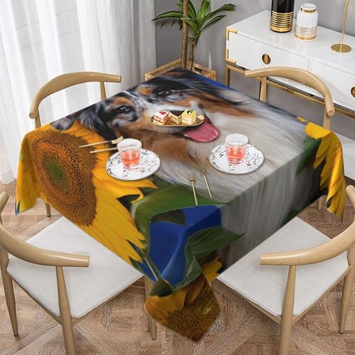 Australian Shepherd Quadratische staubdichte Tischdecke, wasserdichte Tischdecke, 55 x 55 Zoll Australian Shepherd Quadratische staubdichte Tischdecke, wasserdichte Tischdecke, 55 x 55 Zoll von BYwenhopnbs