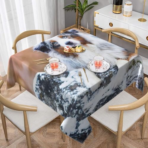 Australian Shepherd Schnee Winter Schöne Hunde Quadratische staubdichte Tischdecke wasserdichte Tischdecke 55x55 Zoll Australian Shepherd Schnee Winter Schöne Hunde Quadratische staubdichte Tischdecke wasserdichte Tischdecke 55x55 Zoll von BYwenhopnbs