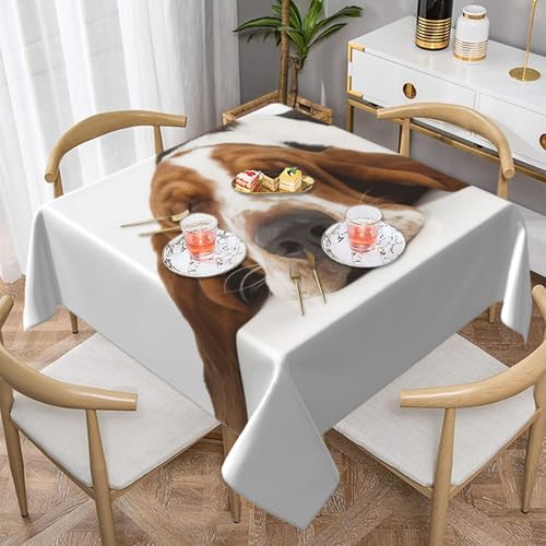 Basset Hound IsolatedSquare Staubdichte Tischdecke wasserdichte Tischdecke 55x55Zoll Basset Hound IsolatedSquare Staubdichte Tischdecke wasserdichte Tischdecke 55x55Zoll von BYwenhopnbs