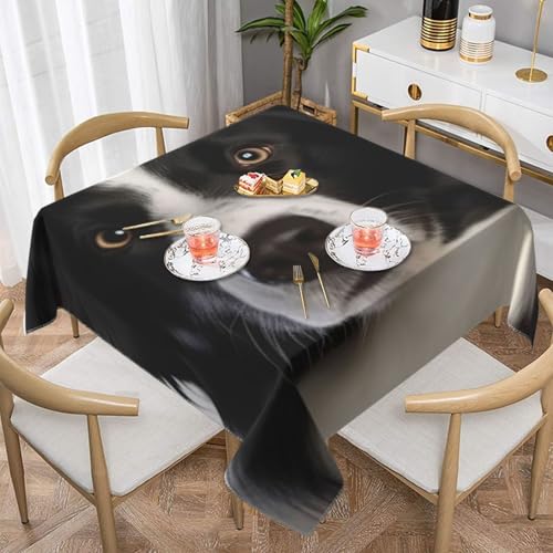 Border CollieSquare Staubdichte Tischdecke wasserdichte Tischdecke 55x55Zoll Border CollieSquare Staubdichte Tischdecke wasserdichte Tischdecke 55x55Zoll von BYwenhopnbs