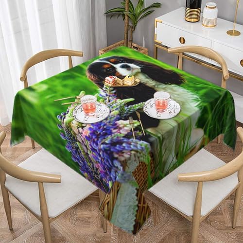 Cavalier King Charles Spaniel Hund Lupinenblumen Quadratische staubdichte Tischdecke wasserdichte Tischdecke 55x55 Zoll Cavalier King Charles Spaniel Hund Lupinenblumen Quadratische staubdichte Tischdecke wasserdichte Tischdecke 55x55 Zoll von BYwenhopnbs