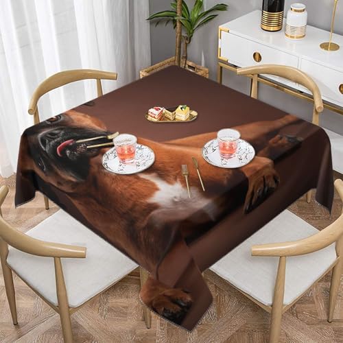 Cooler liegender Boxerhund, quadratisch, staubdicht, wasserdicht, Tischdecke, 139,7 x 139,7 cm Cooler liegender Boxerhund, quadratisch, staubdicht, wasserdicht, Tischdecke, 139,7 x 139,7 cm von BYwenhopnbs