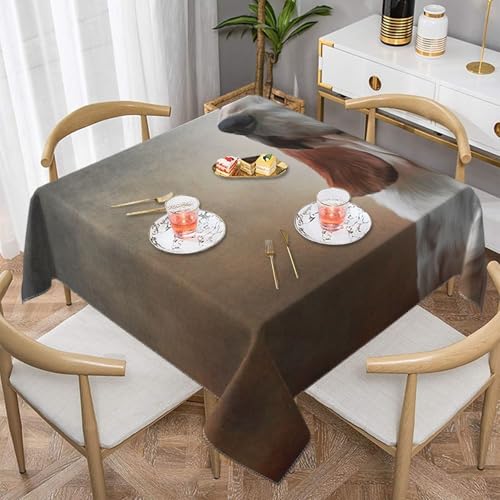 Hund Basset HoundSquare Staub-Proof Tisch Abdeckung wasserdichte Tischdecke 55x55Inch Hund Basset HoundSquare Staub-Proof Tisch Abdeckung wasserdichte Tischdecke 55x55Inch von BYwenhopnbs