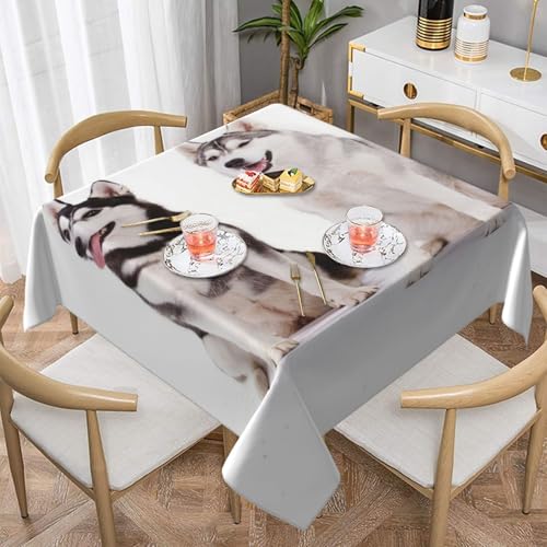 Husky Dogs PrintedSquare Staubdichte Tischdecke wasserdichte Tischdecke 55x55Zoll Husky Dogs PrintedSquare Staubdichte Tischdecke wasserdichte Tischdecke 55x55Zoll von BYwenhopnbs