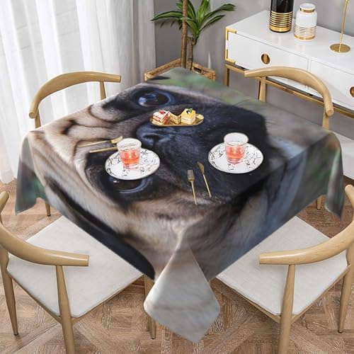 Lustiger Mops-Hund, schau dir Dich an, quadratische staubdichte Tischdecke, wasserdichte Tischdecke, 139,7 x 139,7 cm Lustiger Mops-Hund, schau dir Dich an, quadratische staubdichte Tischdecke, wasserdichte Tischdecke, 139,7 x 139,7 cm von BYwenhopnbs
