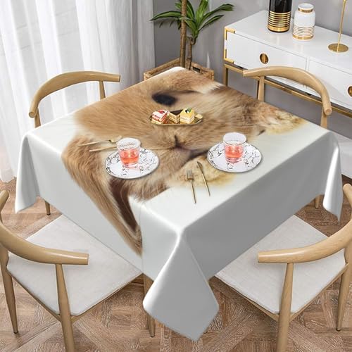 Niedliche Kaninchen-Quadratische staubdichte Tischdecke, wasserdichte Tischdecke, 55 x 55 Zoll Niedliche Kaninchen-Quadratische staubdichte Tischdecke, wasserdichte Tischdecke, 55 x 55 Zoll von BYwenhopnbs