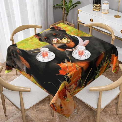 Schöner Herbst-Dobermann, quadratisch, staubdicht, wasserdicht, Tischdecke, 139,7 x 139,7 cm Schöner Herbst-Dobermann, quadratisch, staubdicht, wasserdicht, Tischdecke, 139,7 x 139,7 cm von BYwenhopnbs