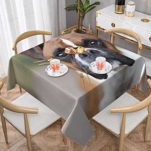 Tischdecke mit Boxerhund, quadratisch, staubdicht, wasserdicht, 139,7 x 139,7 cm Tischdecke mit Boxerhund, quadratisch, staubdicht, wasserdicht, 139,7 x 139,7 cm von BYwenhopnbs