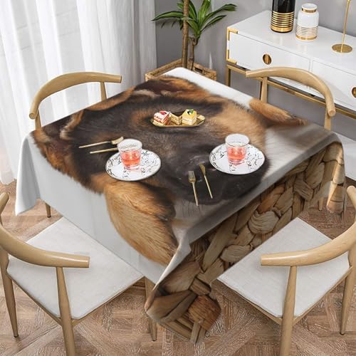 Tischdecke mit Hundemotiv, quadratisch, staubdicht, wasserdicht, 139,7 x 139,7 cm von BYwenhopnbs