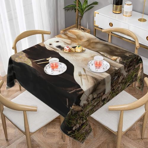 Tischdecke mit Labrador Retriever-Hunden, Schwarz, Gold, Weiß, Braun, quadratisch, staubdicht, wasserdicht, 139,7 x 139,7 cm Tischdecke mit Labrador Retriever-Hunden, Schwarz, Gold, Weiß, Braun, quadratisch, staubdicht, wasserdicht, 139,7 x 139,7 cm von BYwenhopnbs